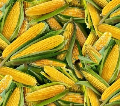 Tuotekuva
