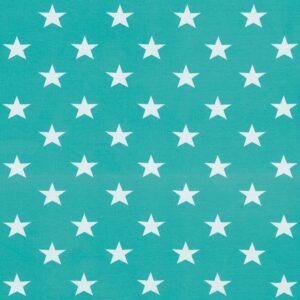 Trikoo, TÄHTI, 261 minttu pastelli